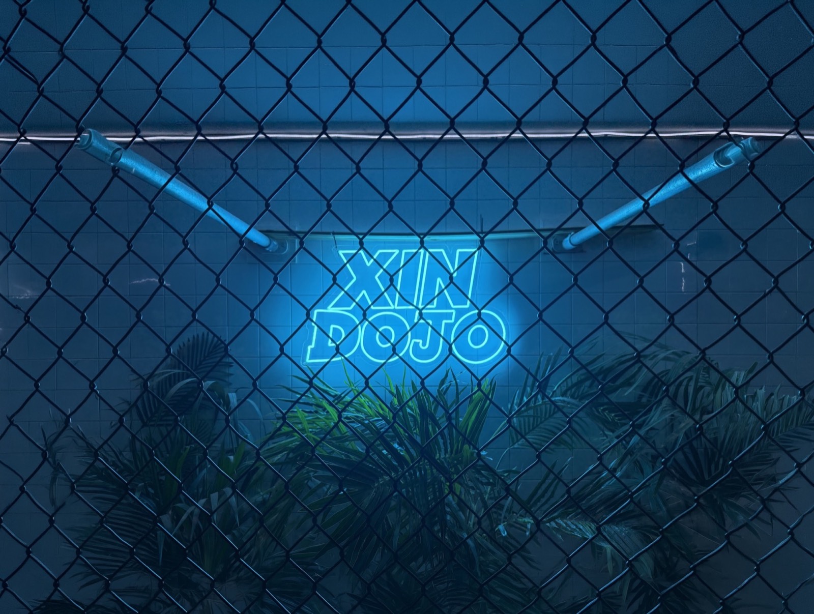 Xin Dojo Neon Sign